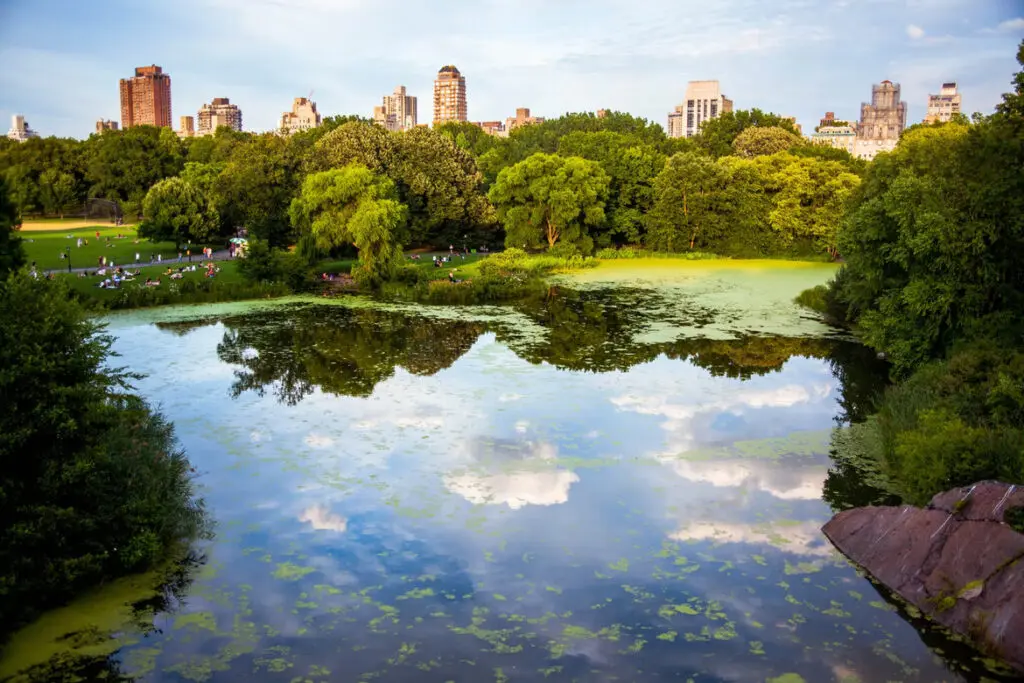 Central Park - Top 15 Best Places to Visit in New York City