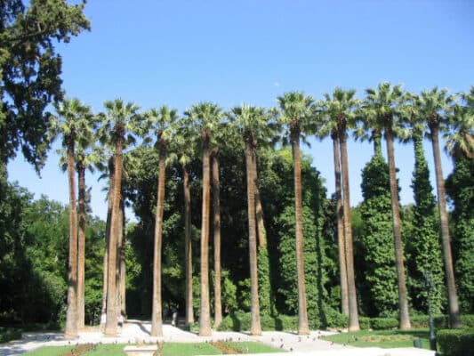 The National Garden - Top 10 Best Places to Visit in Athen