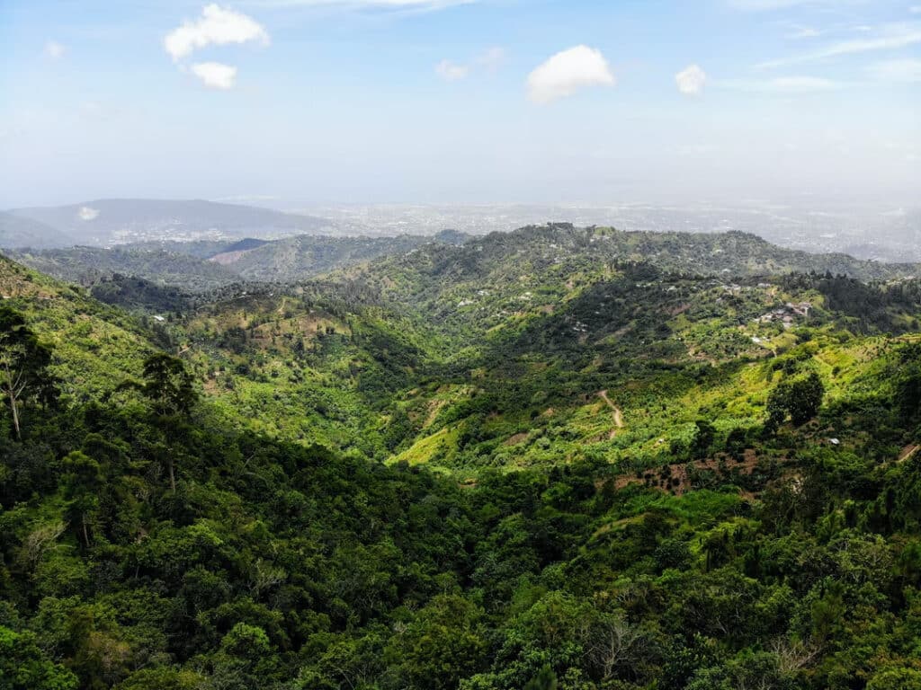 Blue Mountains - Top 7 Best Places to Visit in Jamaica
