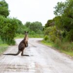 Top 16 Best Places to Visit in Australia