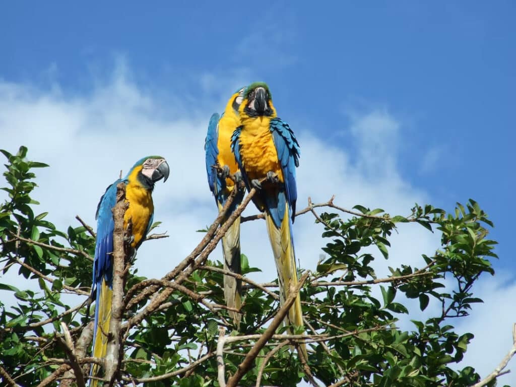 Parque Nacional Canaima, Venezuela - Top 9 Best Places to Visit in Venezuela in 2022