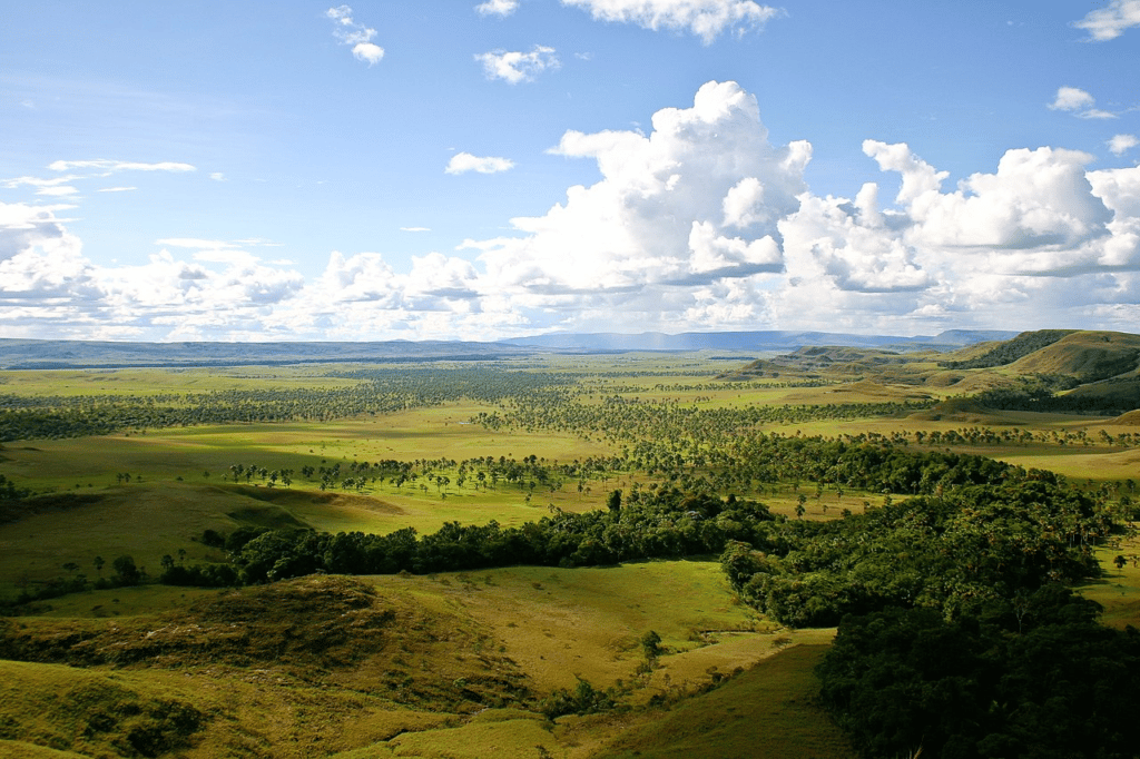 Los Llanos - Best Places to Visit in Colombia