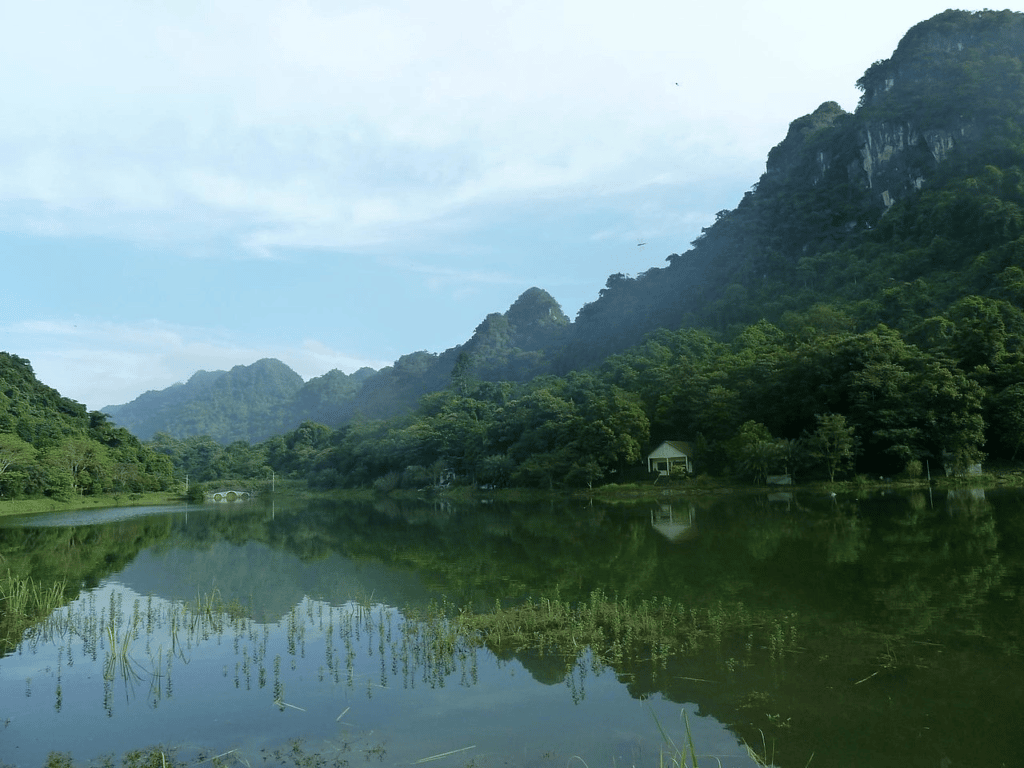 Cuc Phuong National Park - Best Places to Visit in Vietnam