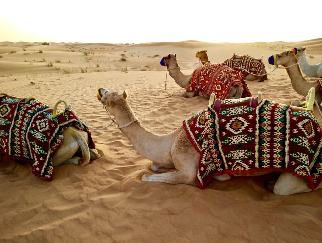 Desert Safari - Top 10 Best Places To Visit in Dubai