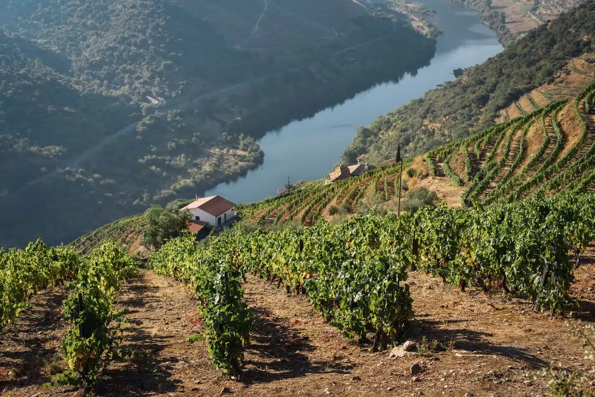 Douro - Best Places to Live in Portugal