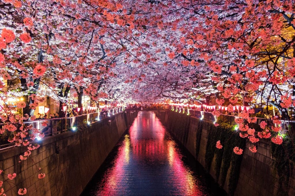Best Places to Live in Japan, Meguro River