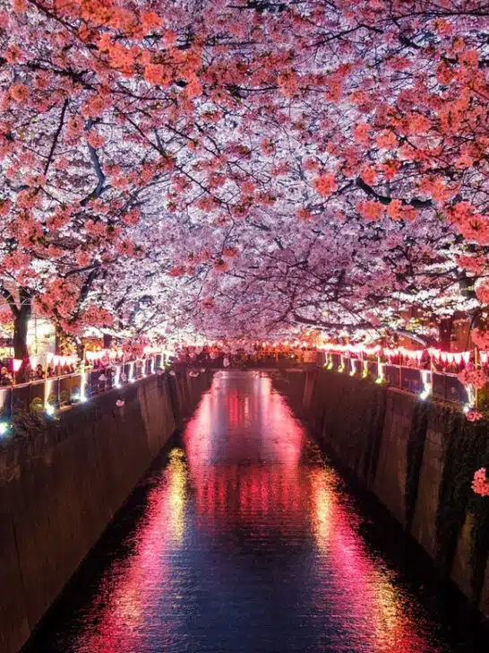 Top 12 Best Places to Live in Japan