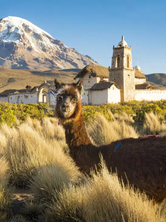 Top 12 Best Places to Live in Bolivia