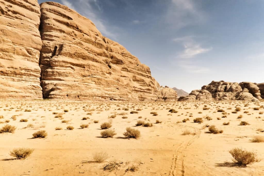 The Syrian Desert - Desert Sand Color