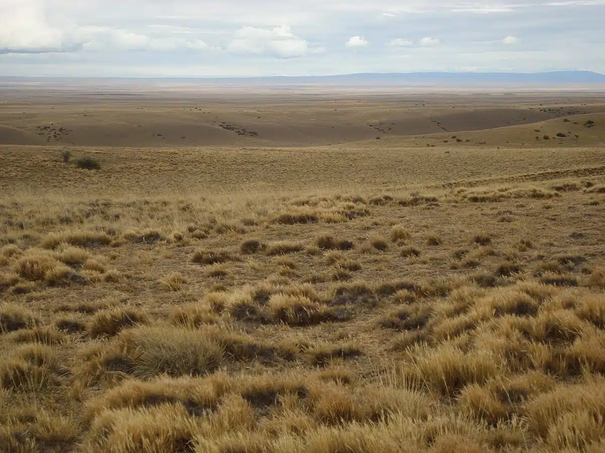 The Patagonian Desert - Desert Sand Color
