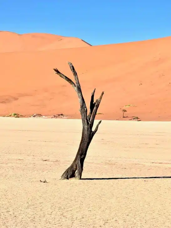 Desert Sand Color