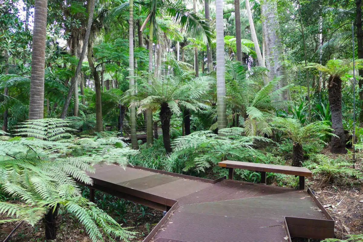 Royal Botanic Gardens – Best Places to Visit in Melbourne