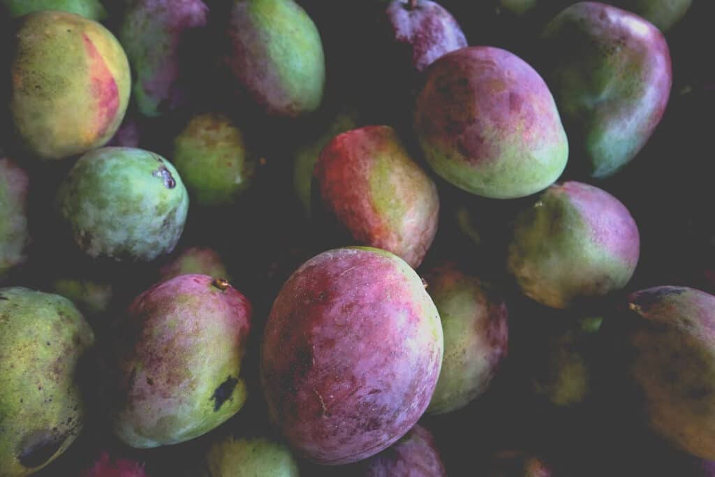 Grown mangos