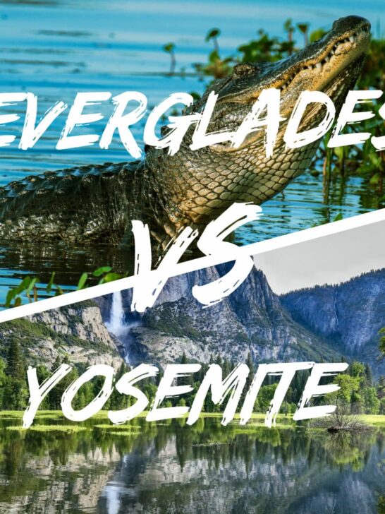 Everglades vs Yosemite