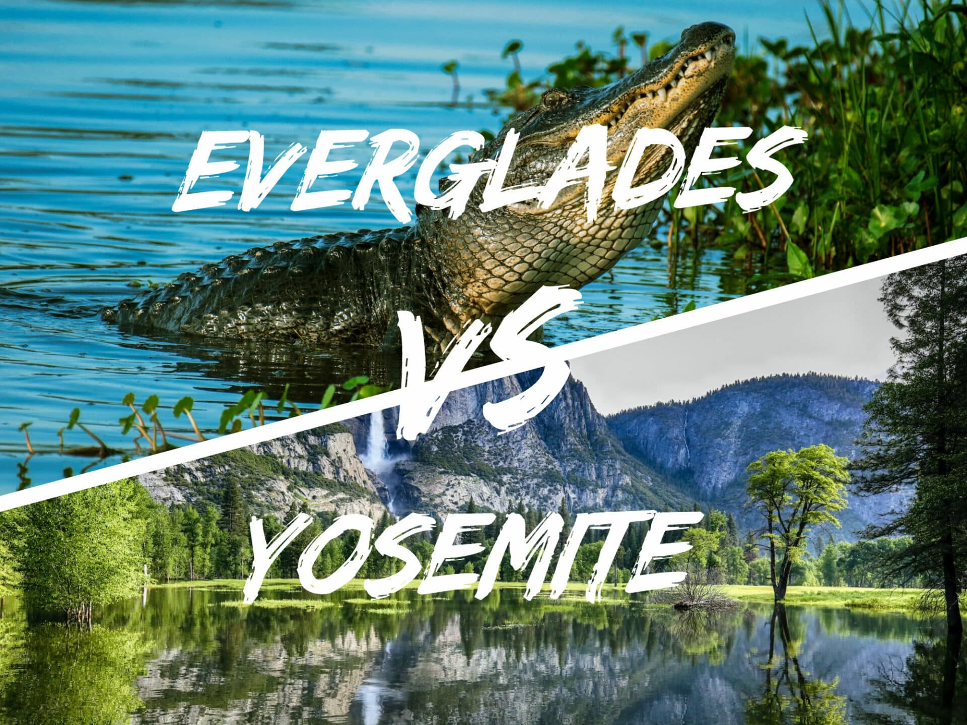 Everglades vs Yosemite: Ultimate Comparison