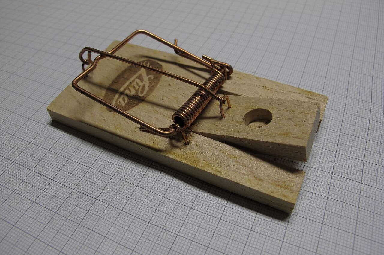 Classic mouse trap made of wood