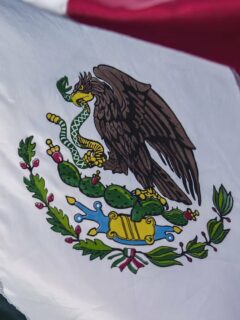 featured_mexico_eagle