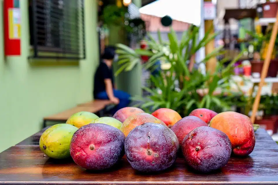 Ripe mango in Dominican Republic
