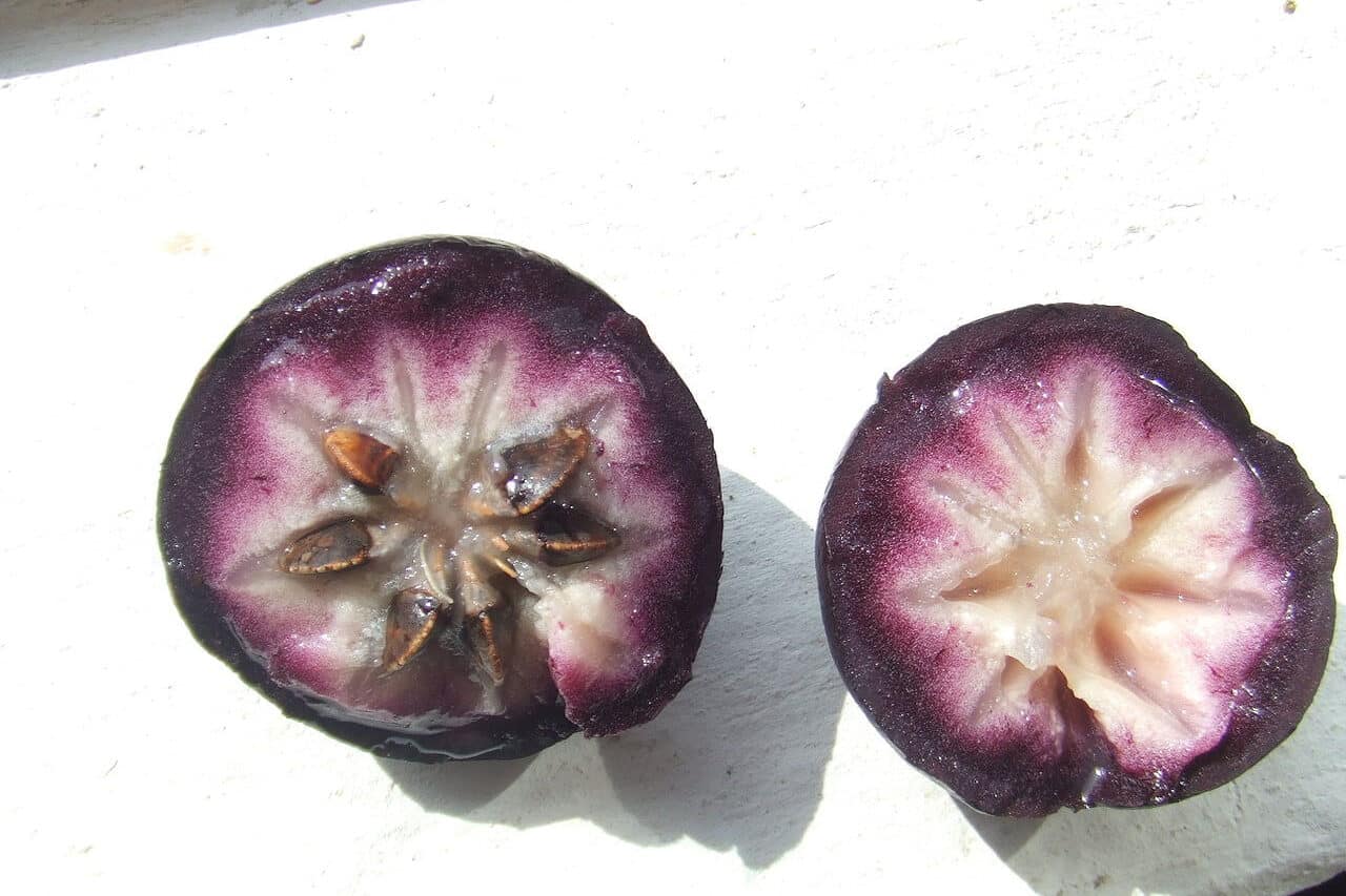 Cainito fruit - Fruits from Dominican Republic