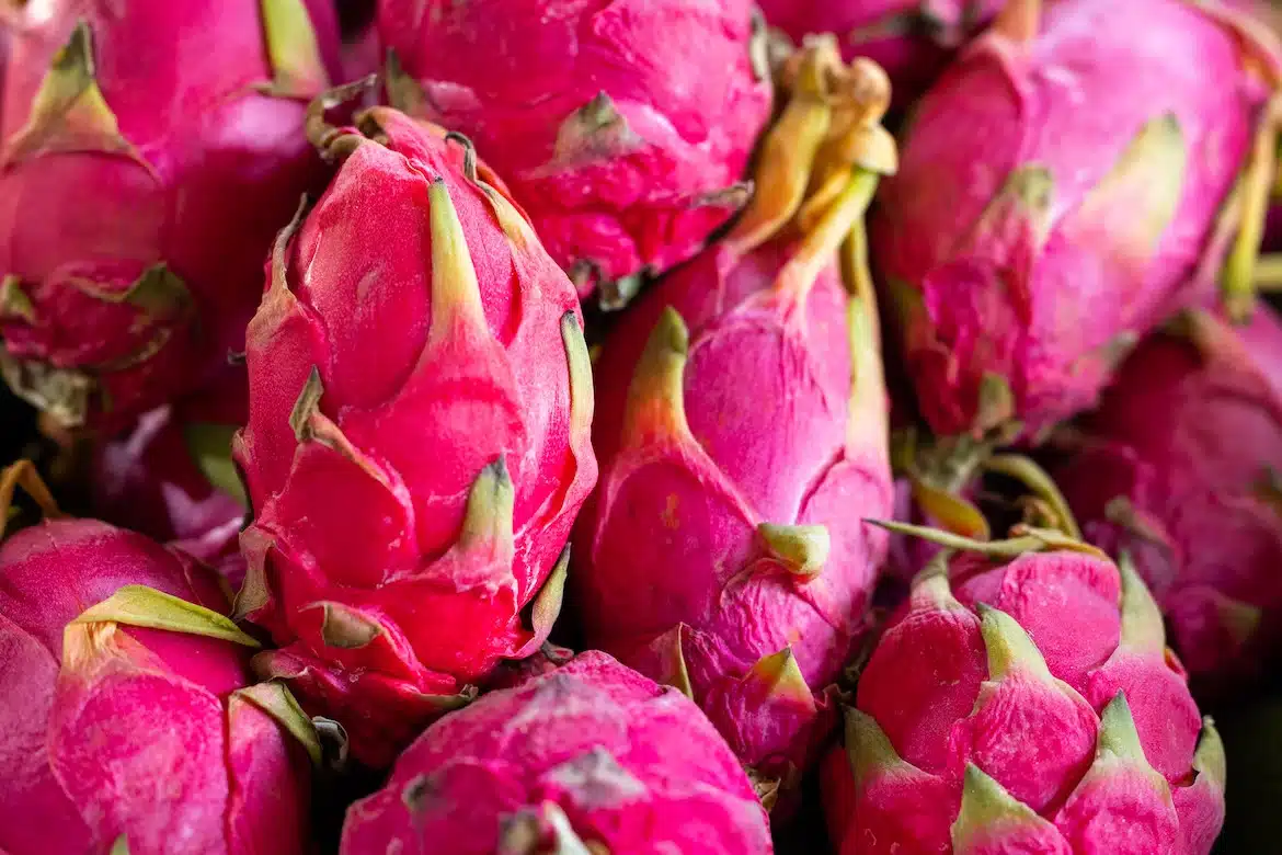 Pinky Dragon Fruit - Fruits from Dominican Republic