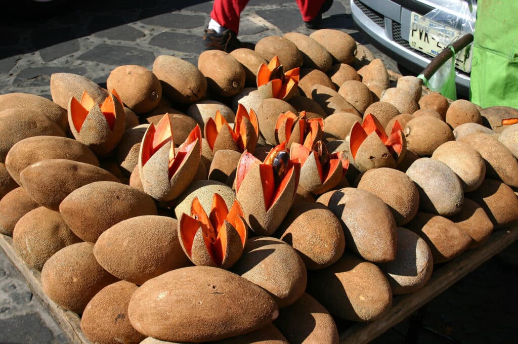 Zapote Fruits - Fruits from Dominican Republic