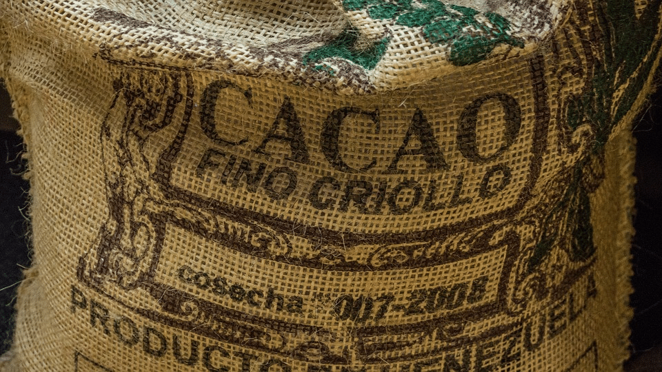 Cacao in Venezuela