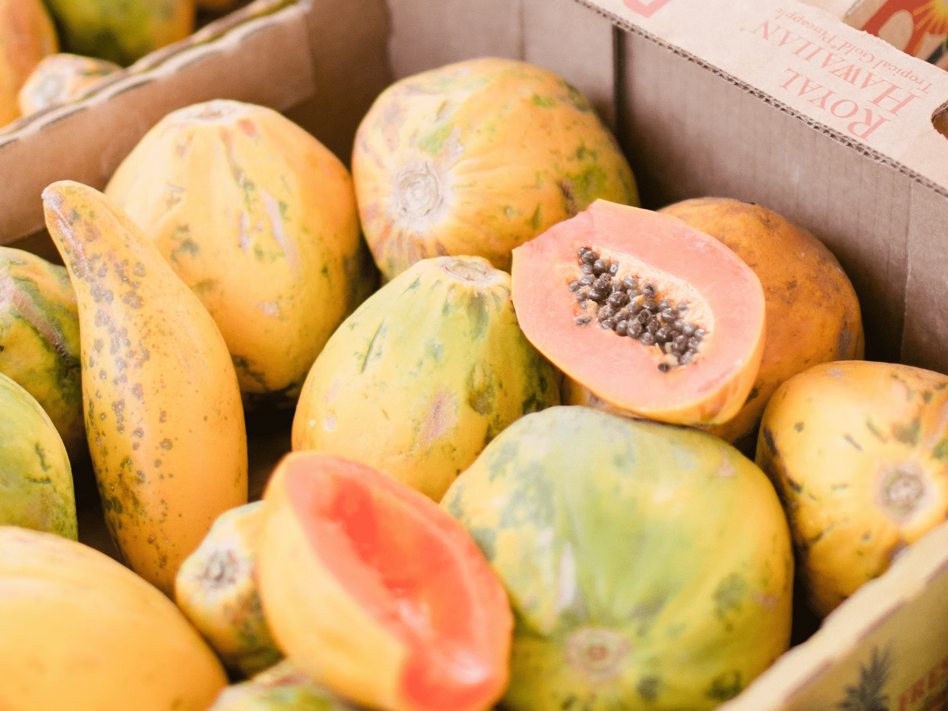 Papayas: A Tropical Digestive Aid - Fruits in Haiti