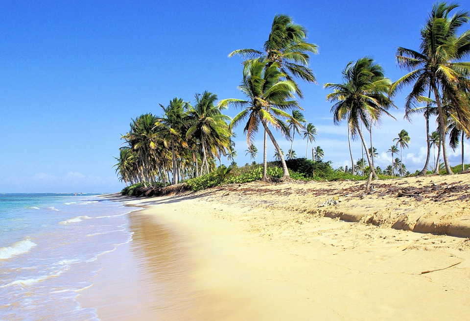 Beach in the dominican republic 