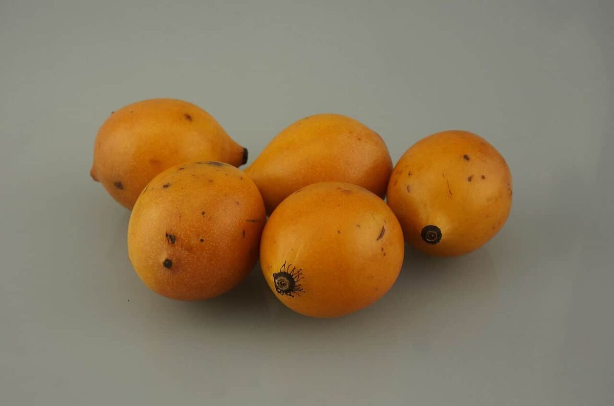 The Achacha fruit - Fruits in Bolivia