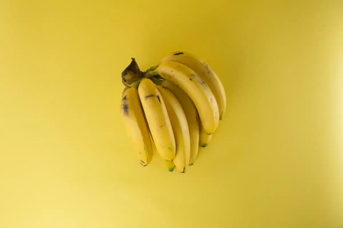 The Banana - The ultimate Travel Snack