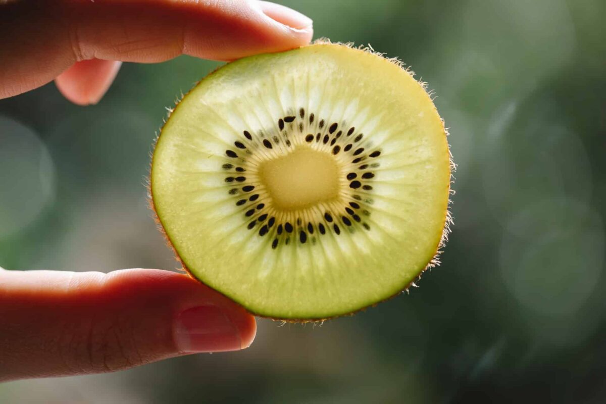 Antioxidant-Rich Fruit - Kiwi