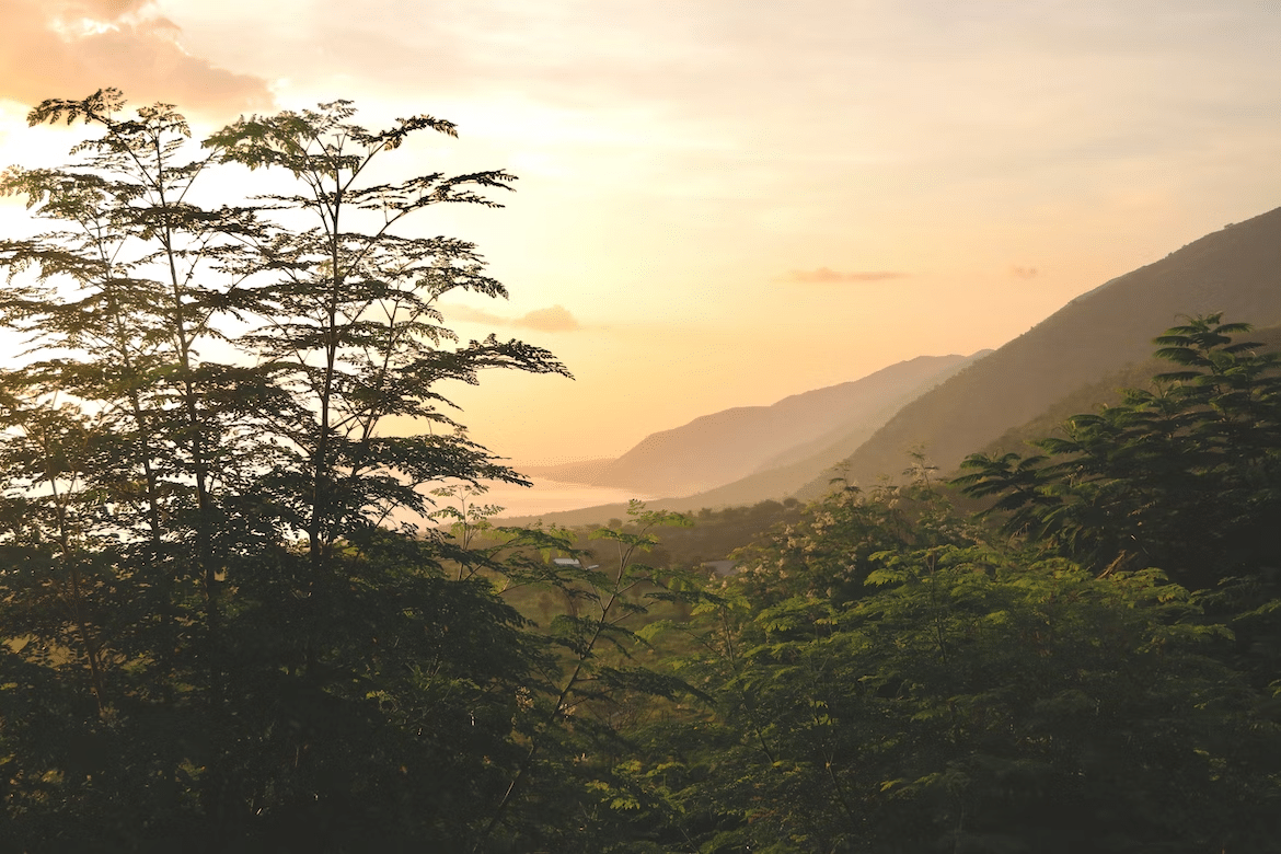 Another Landscape in Haiti