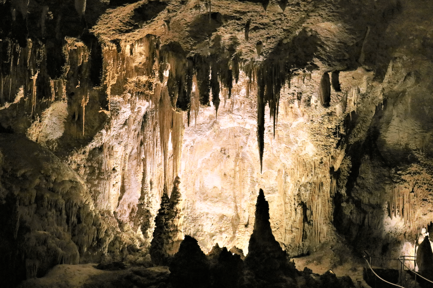 A cave in Carlsbad Caverns National Park