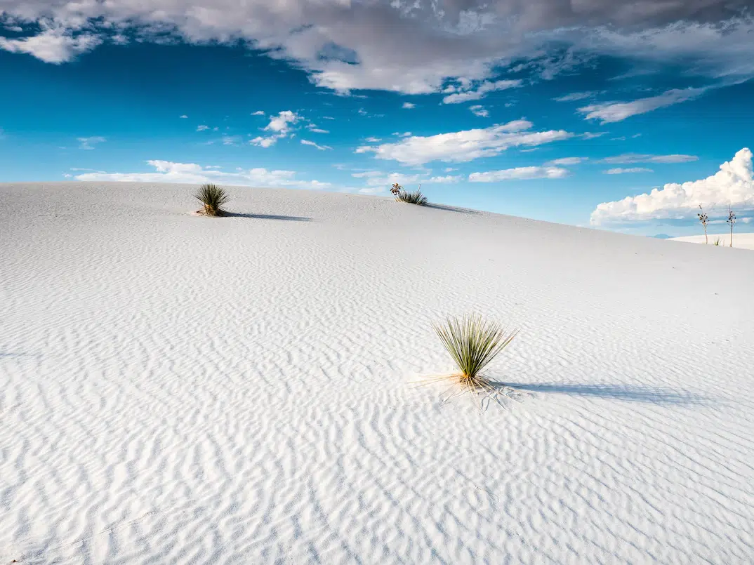 The beauty White Sands National Park