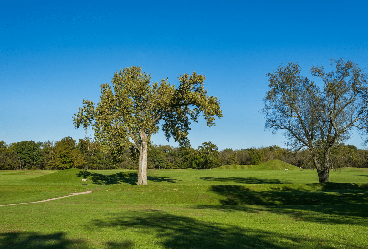 Grassland in Hopewell Culture National Historical Park