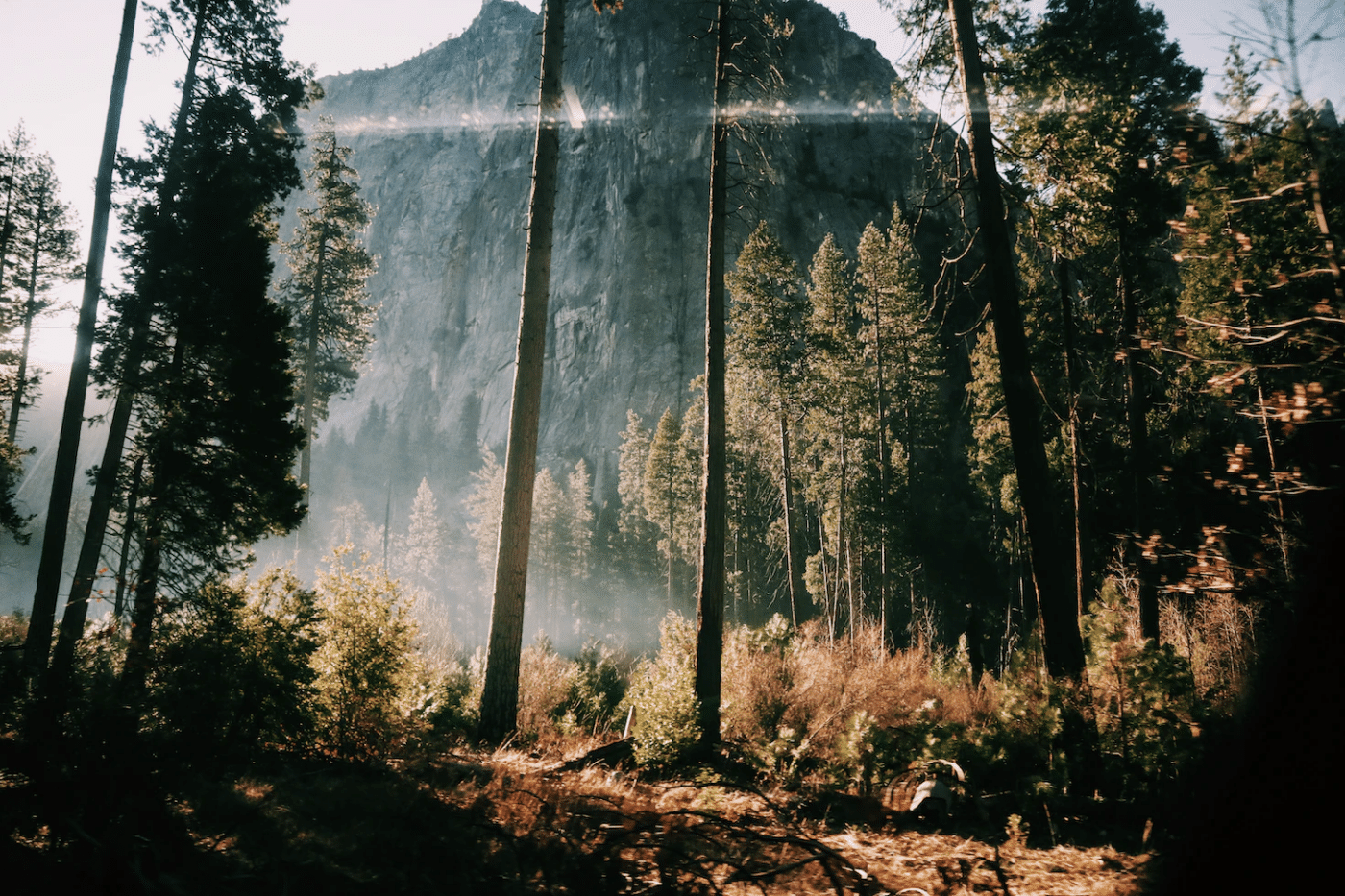 Yosemite National Park Road, Yosemite Valley, CA, USA