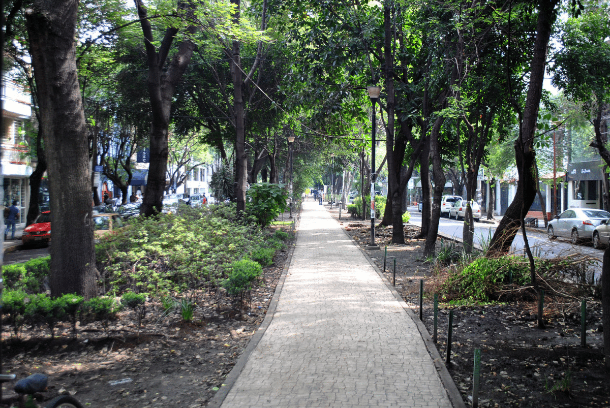Green median of Avenida Ámsterdam