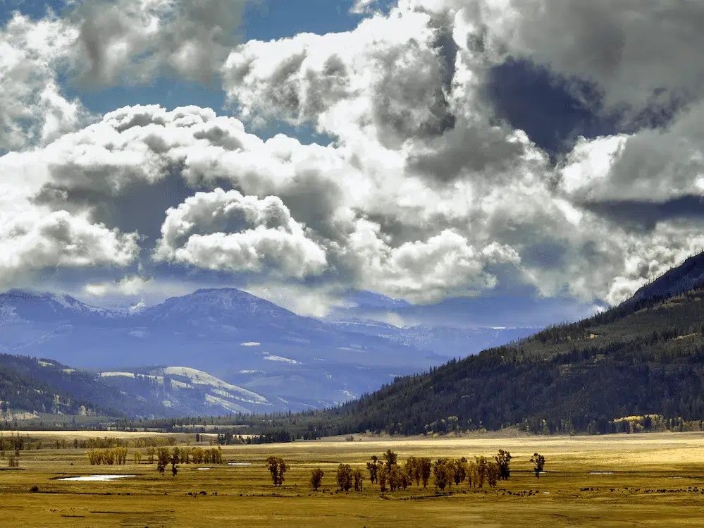 Lamar Valley, Yellowstone National Park