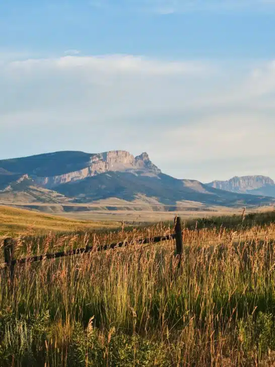 National Parks in Montana: A Traveler’s Paradise