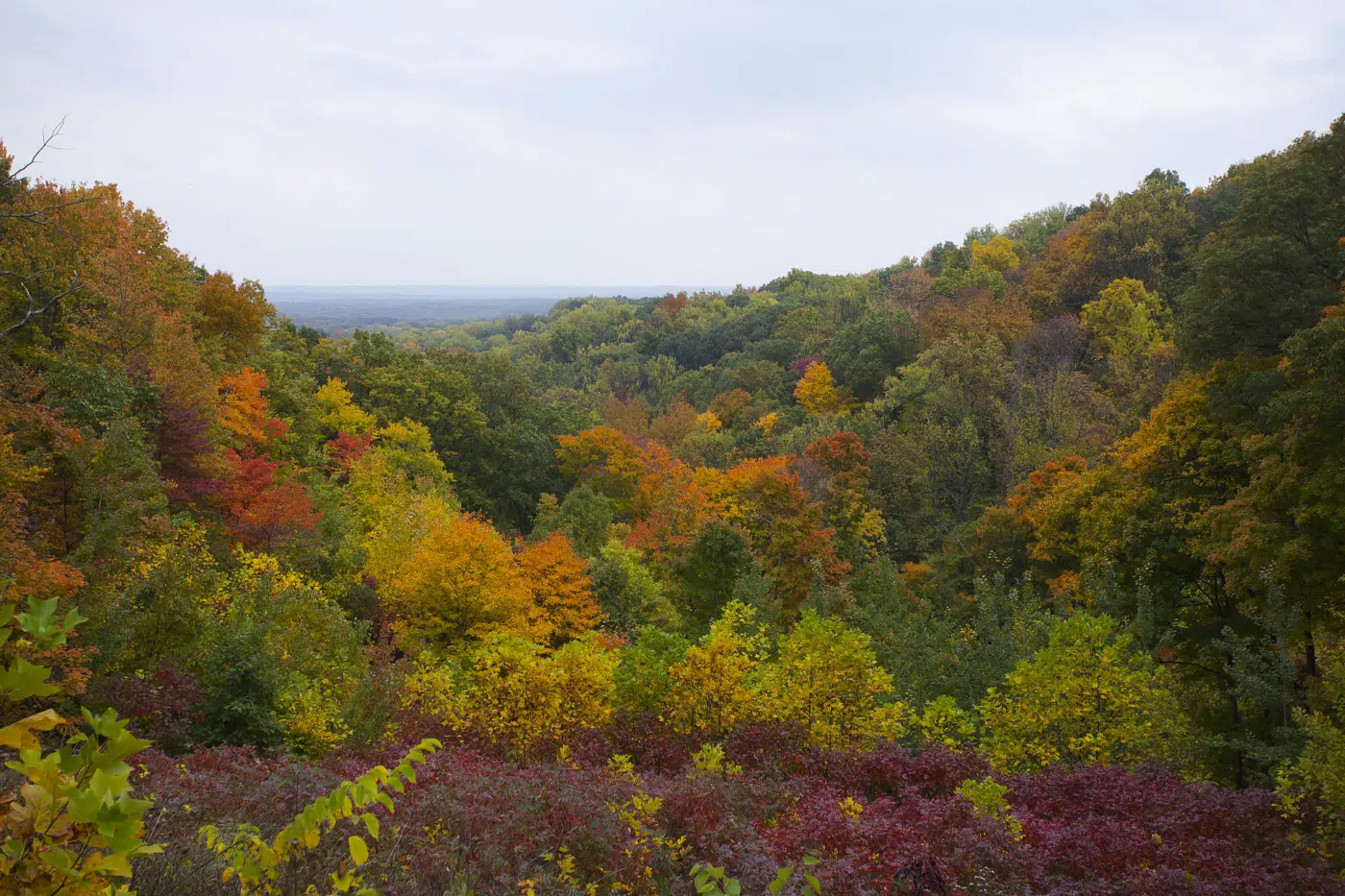 Fall in Brown County State Park