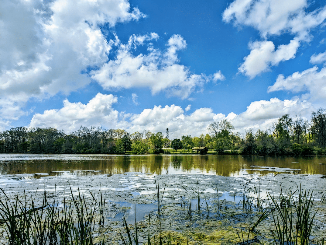 Ouabache State Park, Bluffton