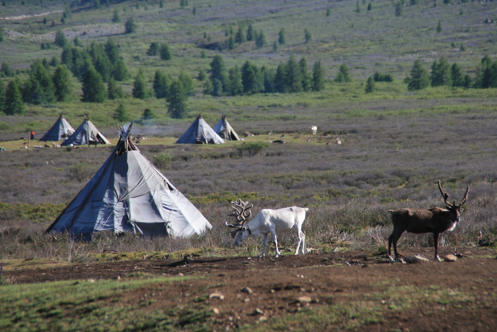 Mongolia