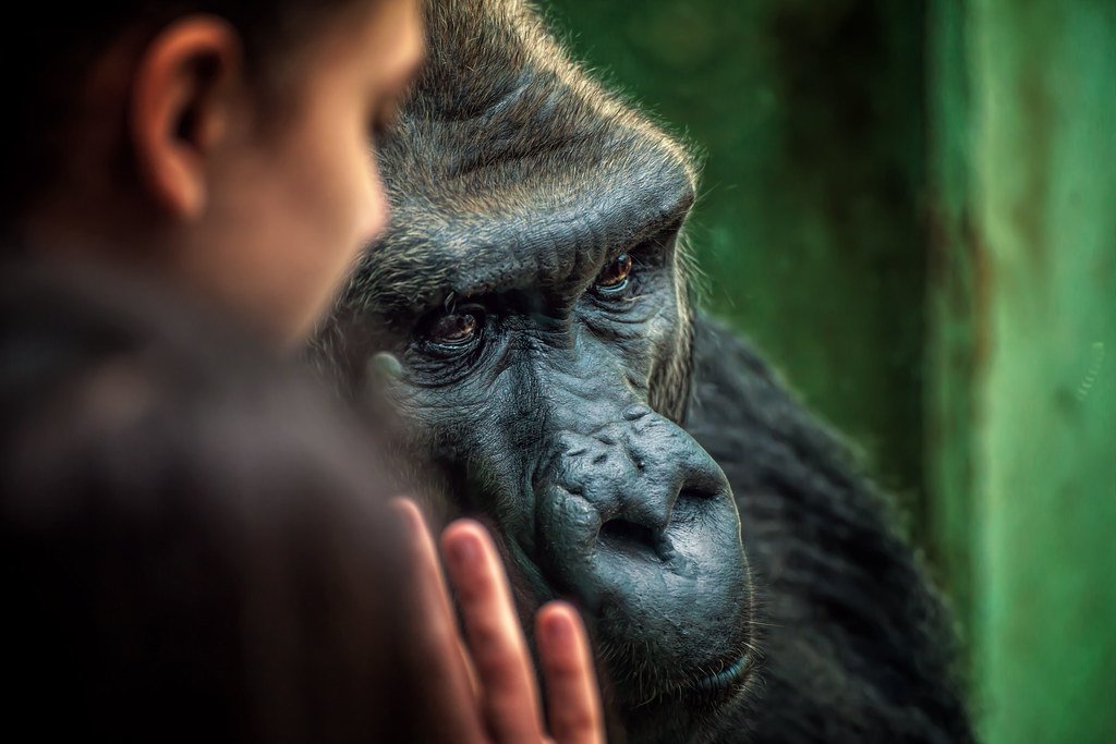 Awakening Empathy Through Shared Vulnerability