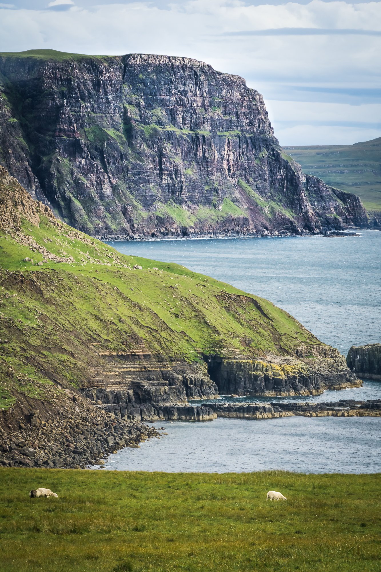 The Scottish Highlands: A Nature Lover's Paradise