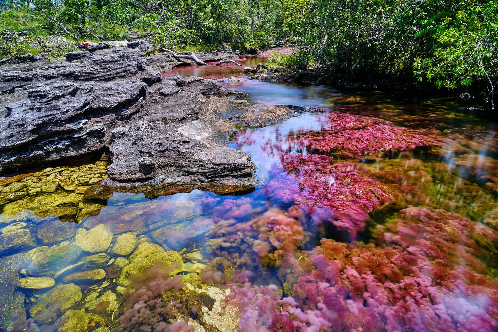 Caño Cristales, Colombia