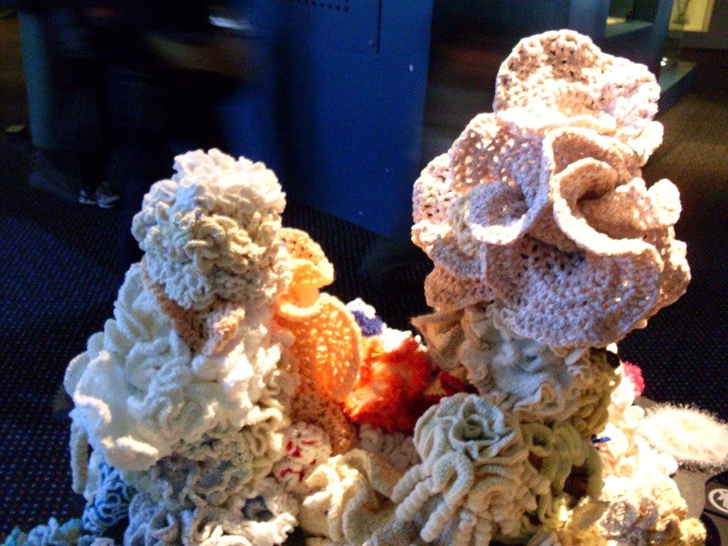Coral Bleaching Crisis