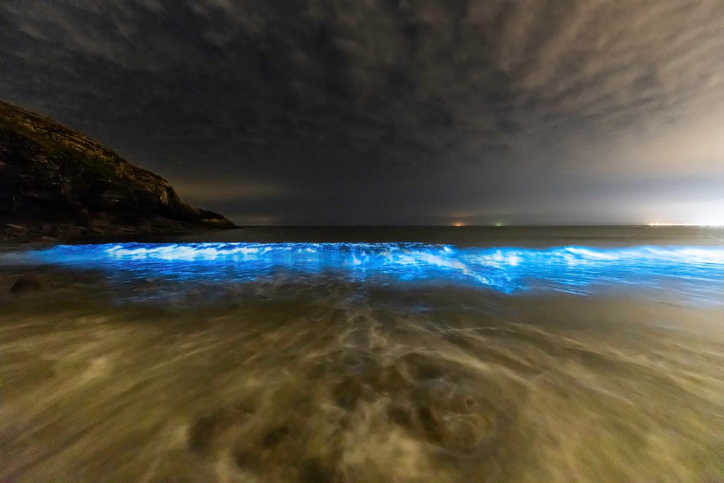 Bioluminescent Waters of the Nicoya Peninsula