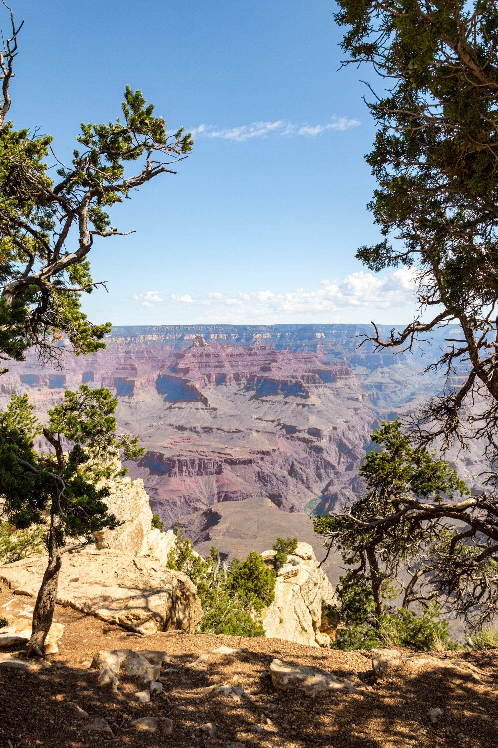 Grand Canyon National Park: The Earth's Mighty Heart