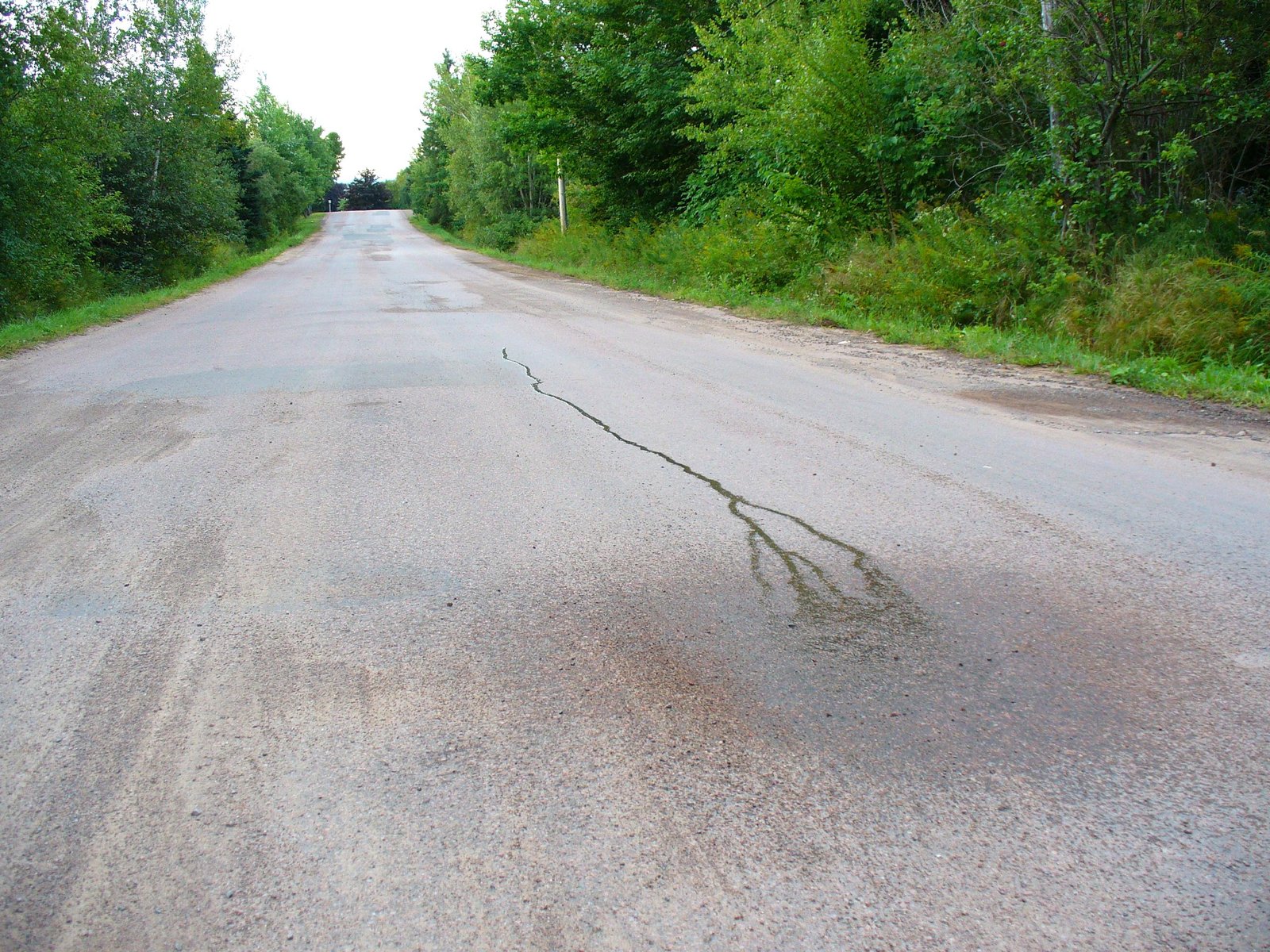 Magnetic Hill, Canada