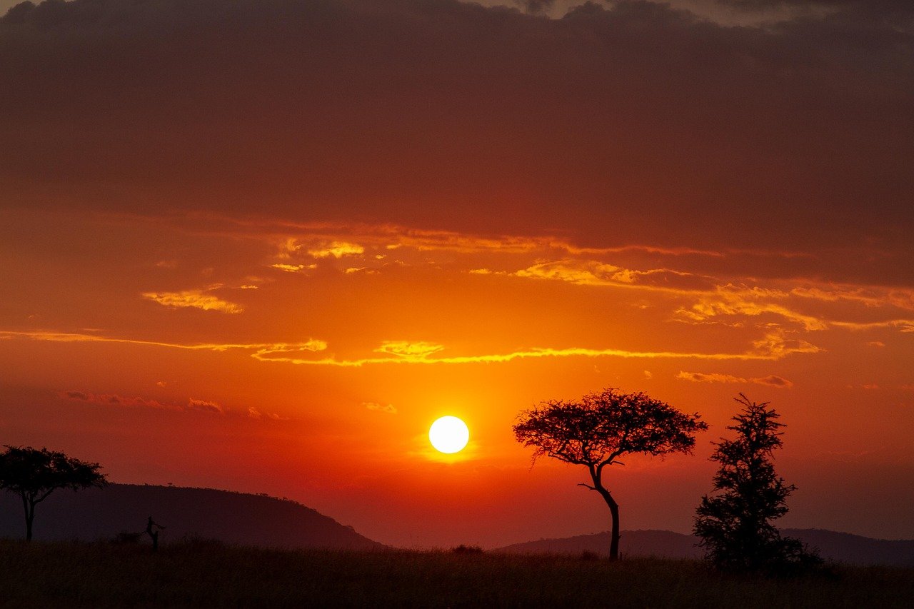 7. Serengeti, Tanzania: Wild Serenade
